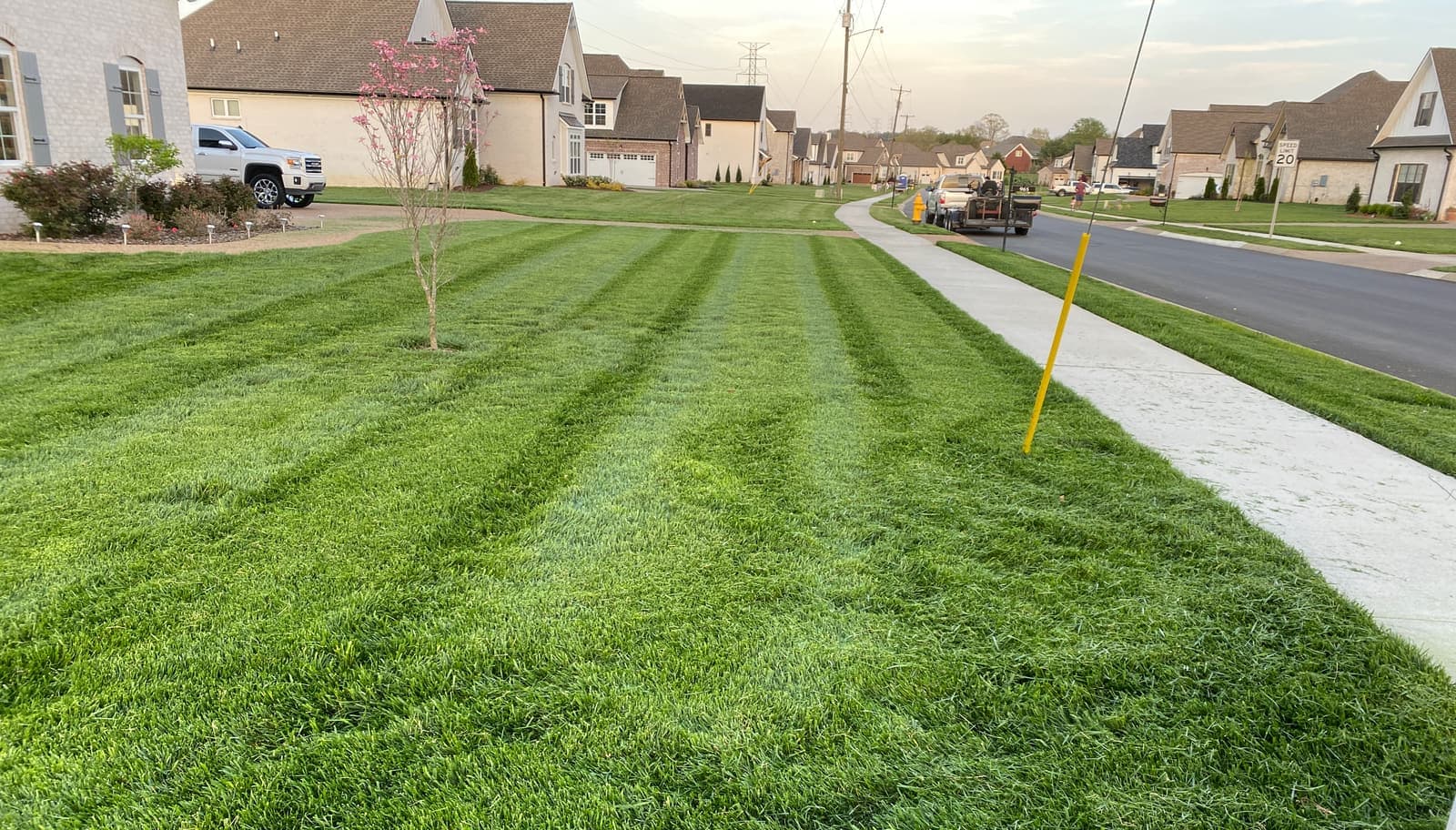 Front lawn mowed in stripes along a sidewalk in a newer Hendersonville-area neighborhood